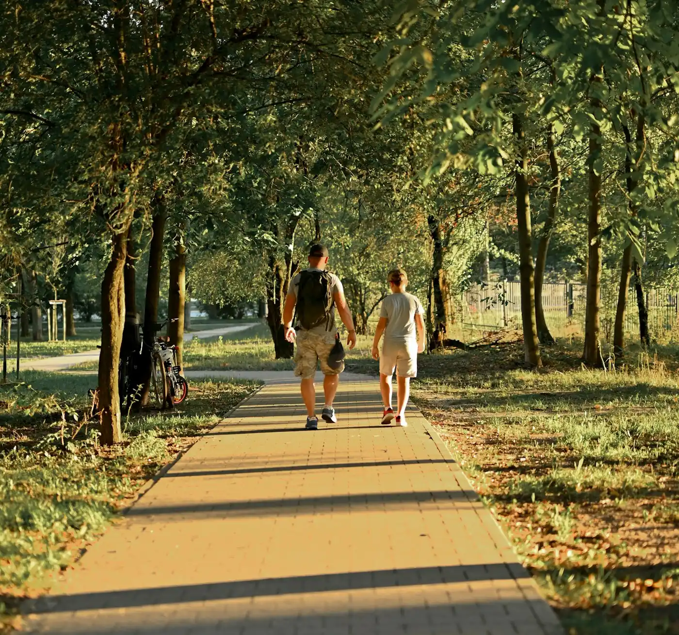 An adult and a child walking along a sunlit tree-lined path